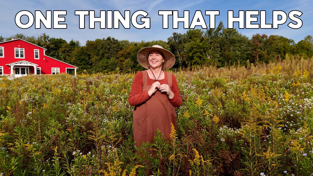 Что помогает мне исцелиться от рака прямо сейчас