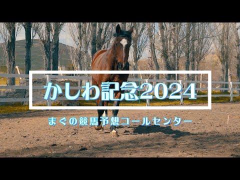 かしわ記念2024の予想！隊列がカギになりそう！