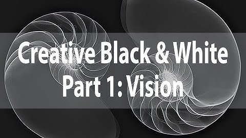 Creative Black & White | Part 1: The Monochromatic Vision | Harold Davis