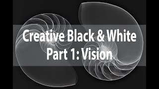 Creative Black & White | Part 1: The Monochromatic Vision | Harold Davis