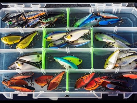 ICAST 2019 NEW PRODUCT: New Colors & Sizes in the Yo-Zuri Rattl'N