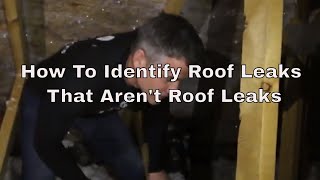 How To Identify Roof Leaks That Aren t Roof Leaks - Treasured Spaces