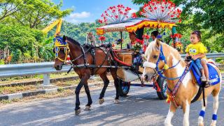 Riding a Horse-Drawn Carriage, Cheerful and Educational Children's Songs | Popular Indonesian Chi...