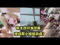 【抖音Tik Tok】教主改行当牙医，现场帮小姐姐治病！LOL陪玩酱