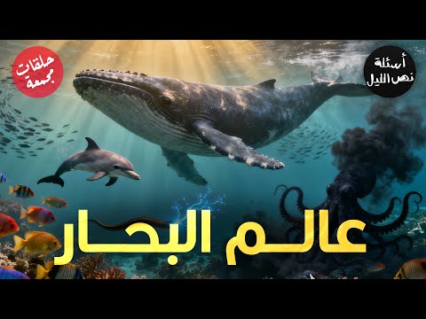 أسئلة عن عالم البحار حلقات مجمعة الجزء الأول