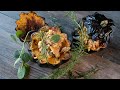 How To Make Roasted Acorn Squash Stuffed With Sausage & Sage | Chef Marc Murphy image