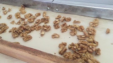 Walnut  Kernel Color Sorter Machine-Color Sorting Videos