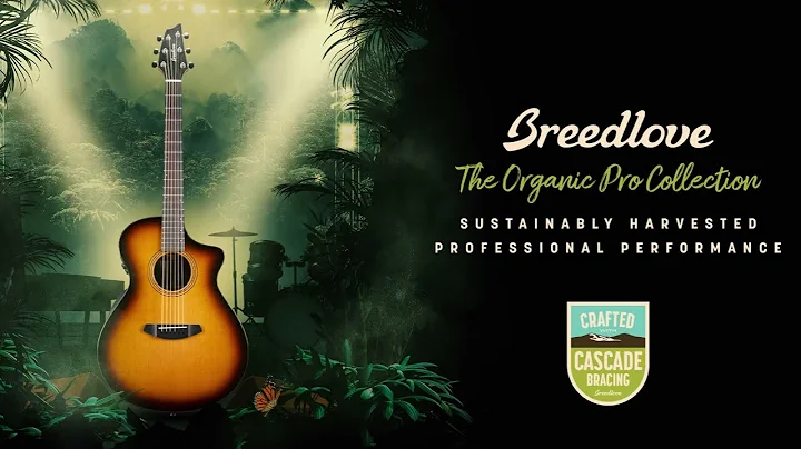 Breedlove Organic Pro Guitar Collection Overview w...