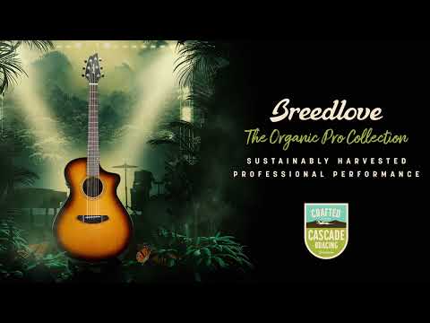 Breedlove Organic Pro Guitar Collection Overview with Designer Angela Christensen