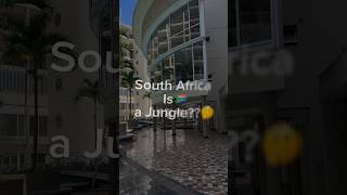 Top Things to Do When Visiting South Africa | Ultimate Travel Guide