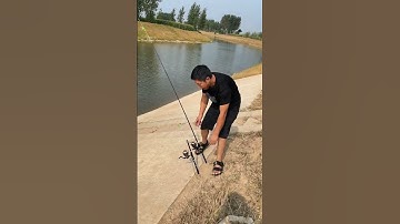 Cần câu máy tự động - best automatic fishing rod 5-10kg #fishing #shorts