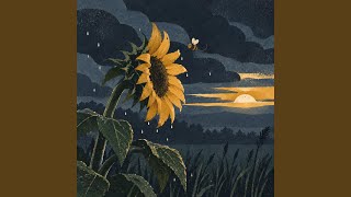 Sunflower Update