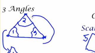 Identifying and Classifying Triangles