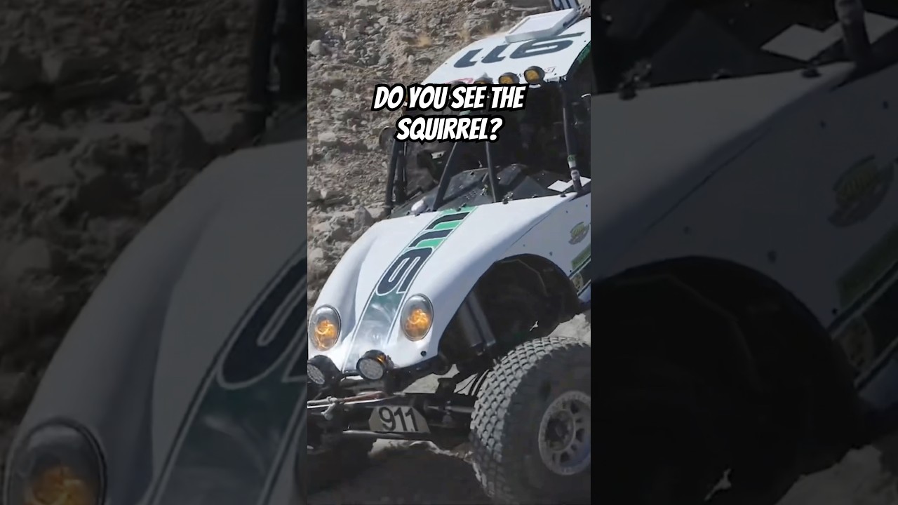 Point1 Racing and Their Squirrel at King of the Hammers
