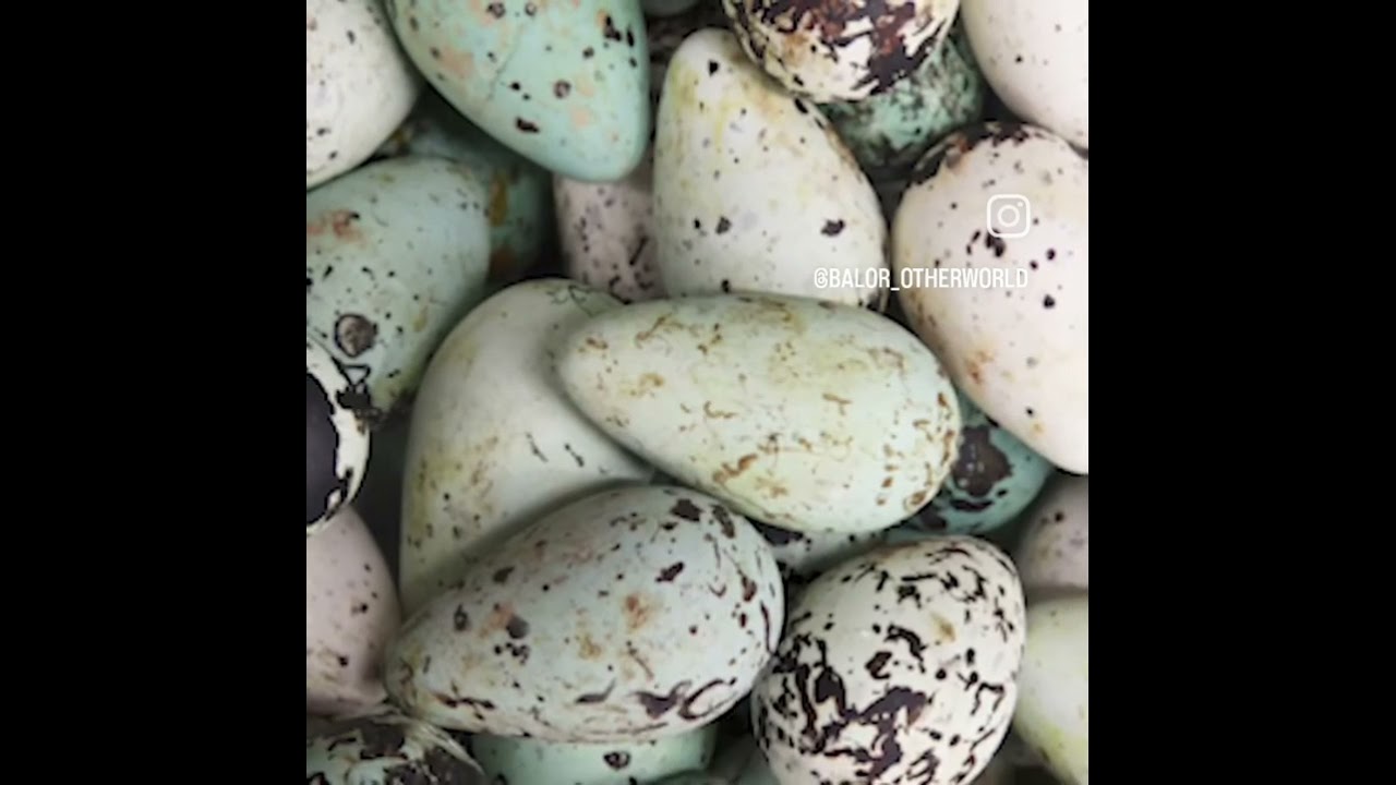 ⁣Easter Traditions (Part 2) #eastereggs #eastertraditions #easter #balorotherworld