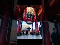 MEOW IBARAKI #shortvideo #japan