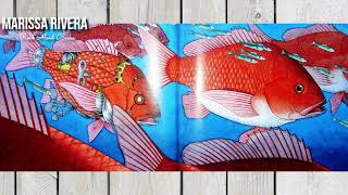 FLOTSAM |  CALDECOTT MEDAL WINNER | READ ALOUD BOOKS | STORY TIME