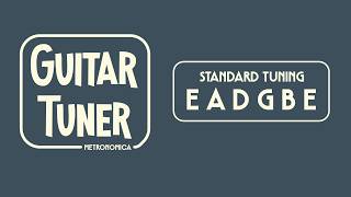 Guitar Tuner | Standard Tuning (E A D G B E) | 440 Hz | Accurate Retro Guitar Tuner screenshot 3