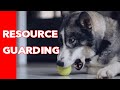Resource Guarding - How to FIX and PREVENT IT