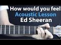 Ed Sheeran - How Would You Feel: Acoustic Guitar Lesson