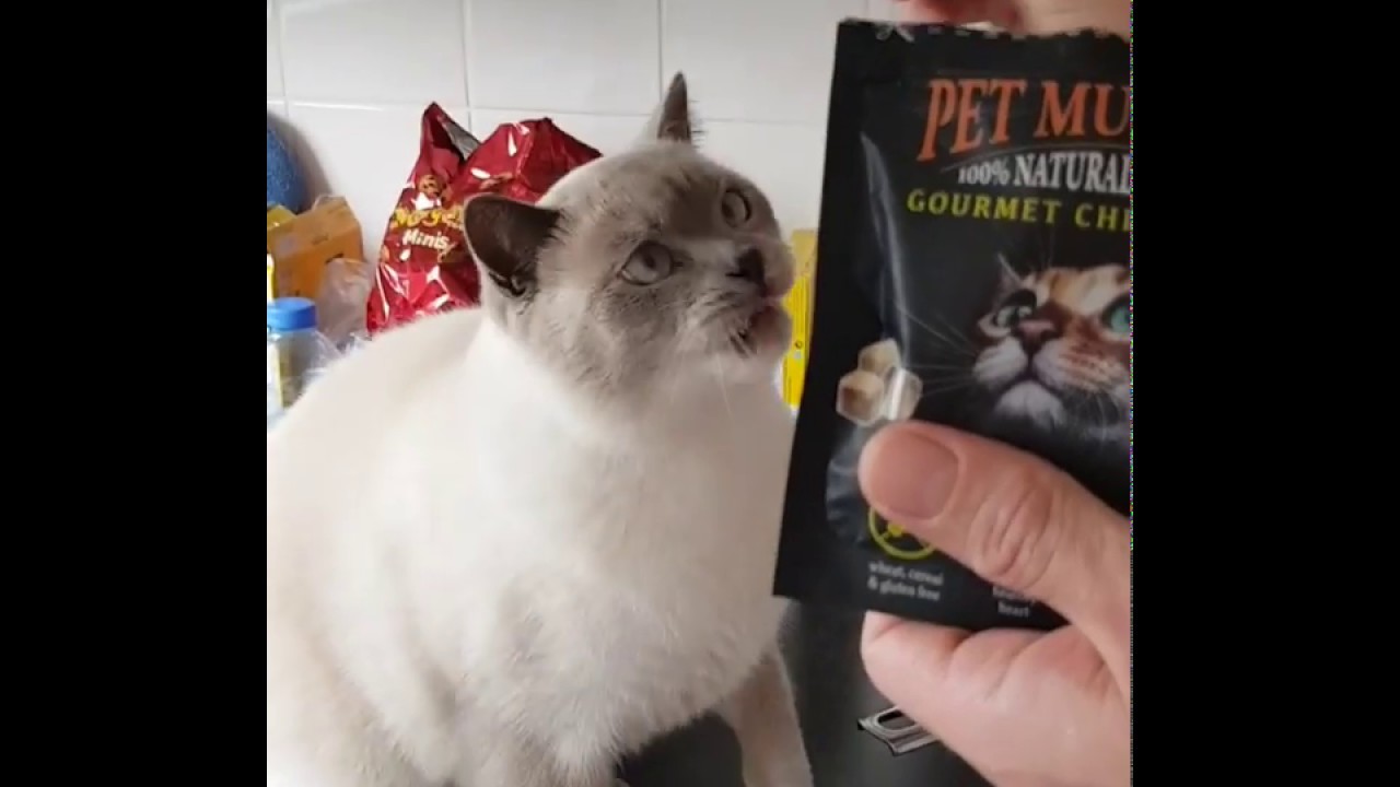 pet munchies cat treats
