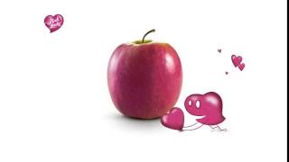 Pink Lady - Srećan 8. mart