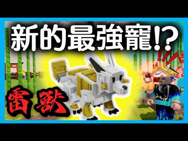 雷獸！新的最強寵？//贈禮系統將在今日回歸！？//活動糟糕？淺談關於這次禪宗活動個人見解//成長花園🍅//培養花園🍄//Grow a Garden🍄