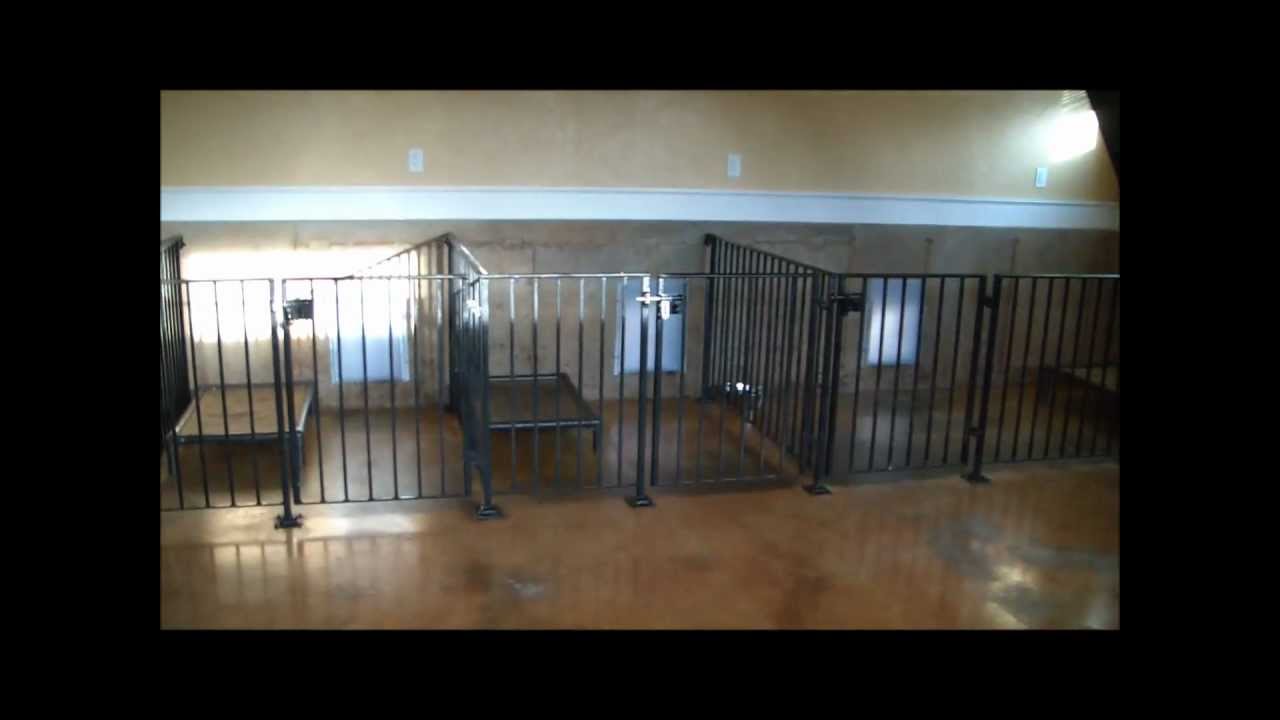 Dog Kennel Designs Pictures Tunkie