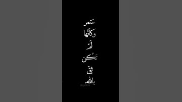 #تلاوه_خاشعه #محمود_الشحات_أنور #القران_الكريم #like #اكسبلور #foryou #اهميه #دويتو #duet #quran