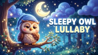 Sleepy Owl Lullaby 🦉🌙 Bedtime Song for Toddlers | Calm Nursery Rhyme for Sleep