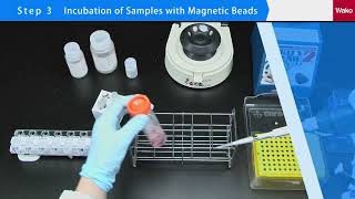 How to purify exosomes/EVs - Outline of Procedure of MagCapture Exosome Isolation Kit PS Ver.2