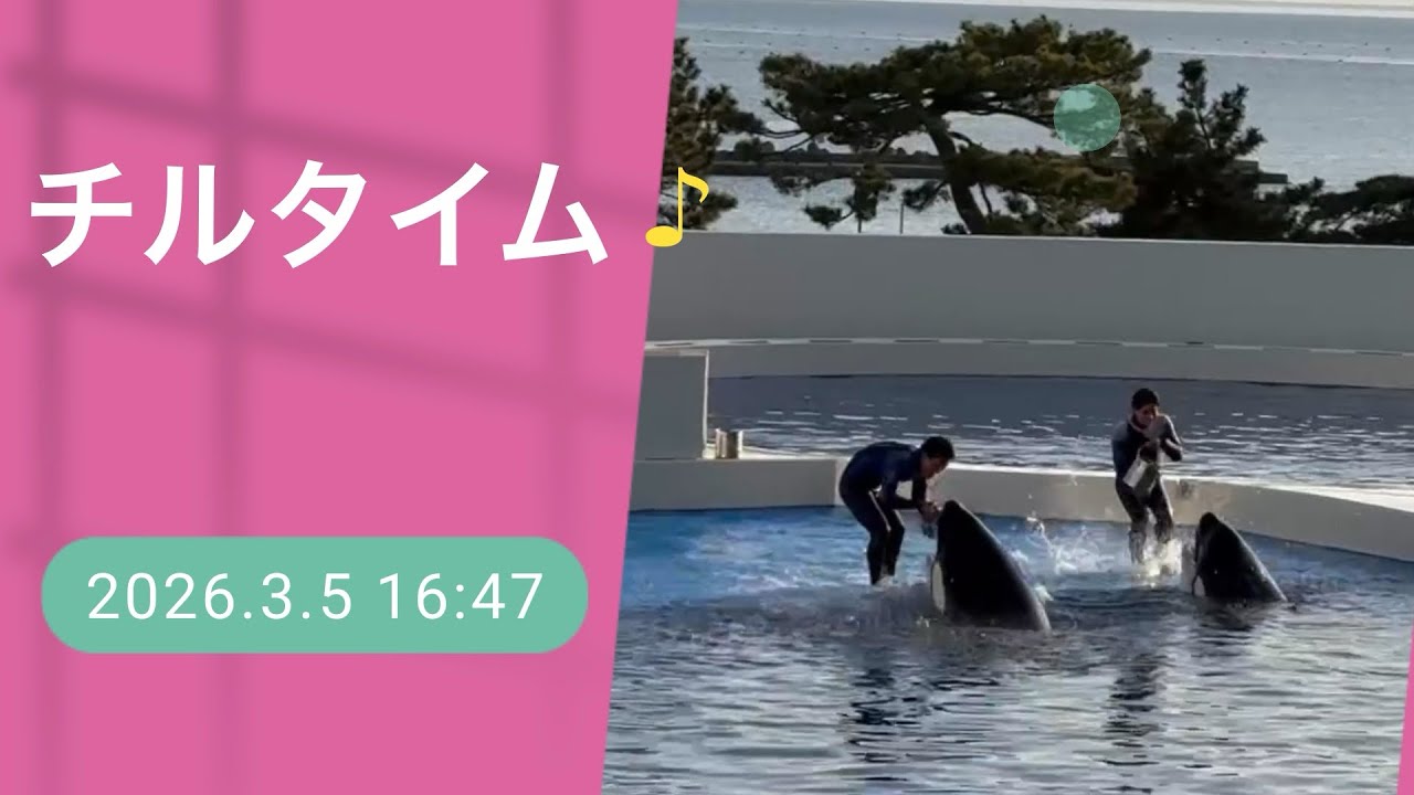 チルタイム♪ 2026.3.5 16:47