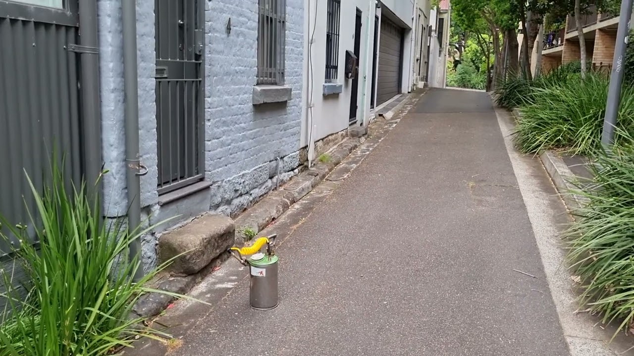 A1 Pest Control Surry Hills End of Lease Flea Treatment