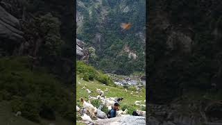 tracking enjoy trip mountainto jalsu joot Chamba Holi Himachal pradesh Shorts you tube
