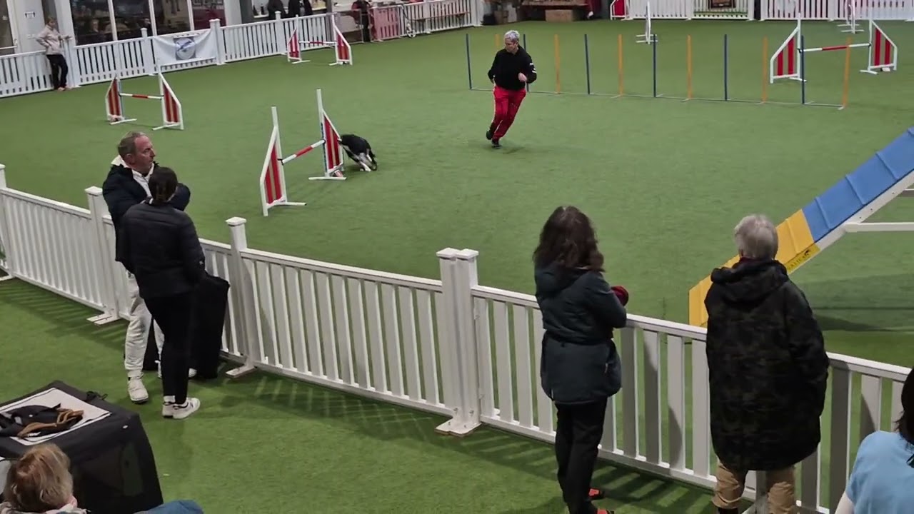 Turnier Westerwald, 14 12 25, Jim, A3, Stegabgang, Platz 3