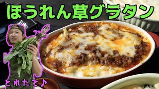 土がついてる新鮮なほうれん草で熱々グラタン作り！