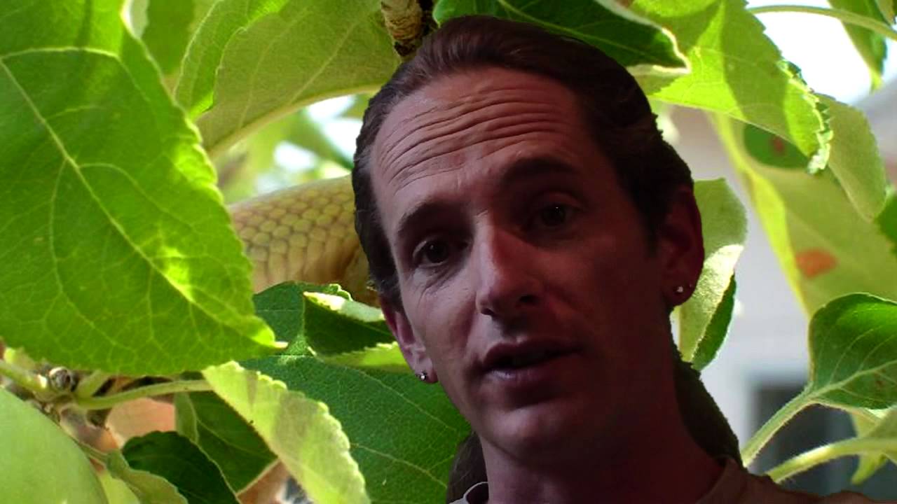 killed by death Reptile News New Pit Viper guilty on all charges