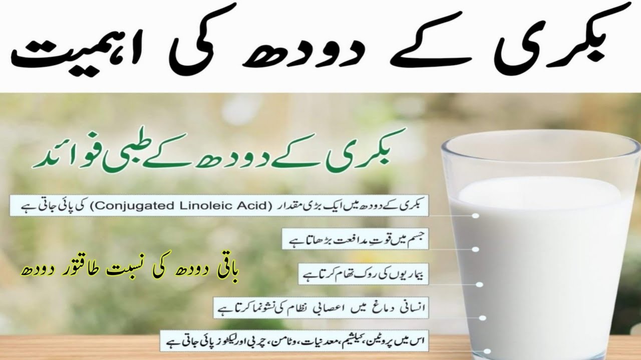 Bakri ke doodh ke fayde in urdu Goat milk benefits in urdu Bht He