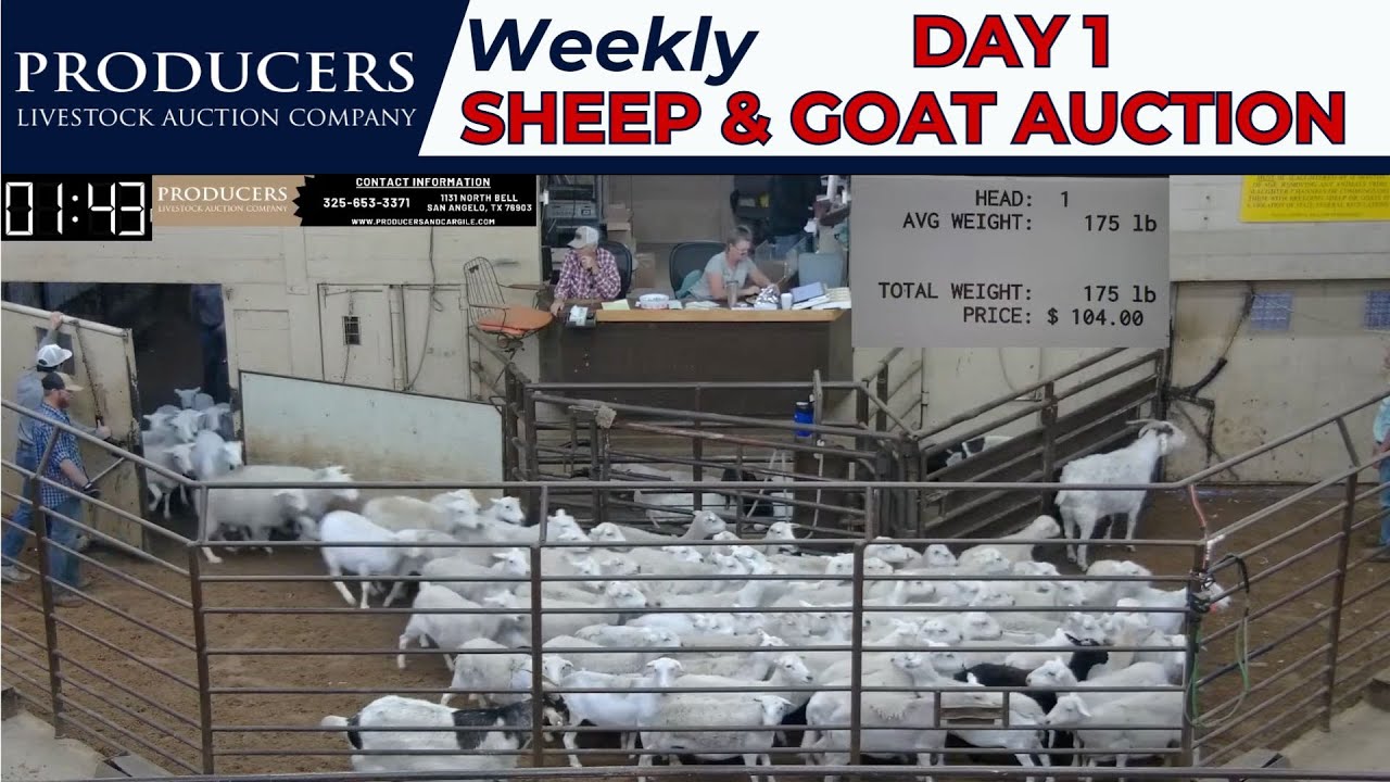 Goat auctions near me