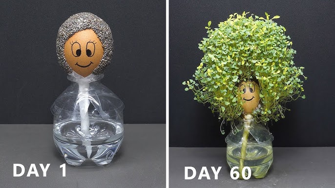 How To Grow A Bob Ross Chia Pet 🍃Channel GIVEWAY Winner!! ✨ 