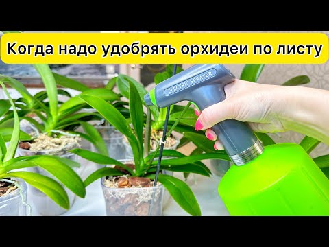 Сделайте Удобрение орхидей по листу