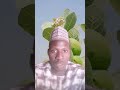 Sirrin Tumfafiya Don Maganin Makaru 08120447296 