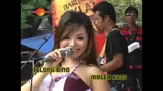 Ikif Khawazima - Bojo Loro  | Dangdut