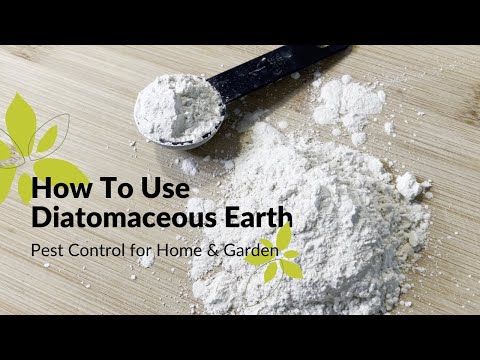 How To Use Diatomaceous Earth | Home & Garden Pest
