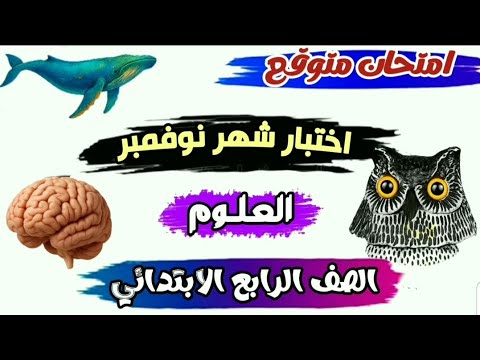 المراجعة الأقوى امتحان متوقع علوم الصف الرابع الابتدائي شهر نوفمبر دليل ولي الأمر والمعلمين للتفوق
