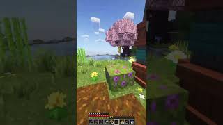 MyCalmCraft adventure [3571] #minecraft #cozynights #gaming