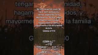 Yo no me quedo #diosesamor