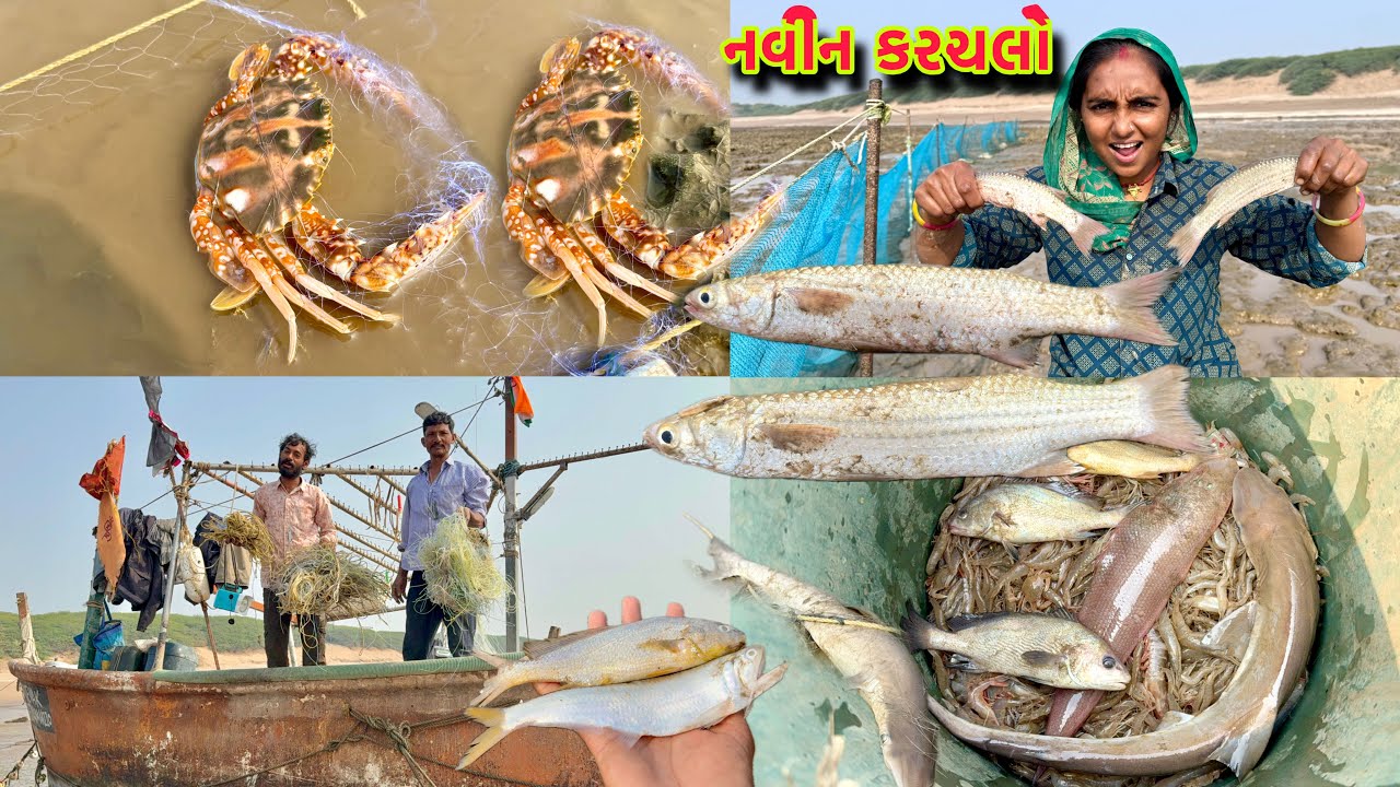 દેશી ટોટરુ.સોલ ફીસ.મઘડી માસલી.મઘરુ.બધુ આવ્યુ 🐙🐋mix fishing 🎣 dariyai khedut