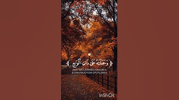 تلاوة من سورة القمر🌑
