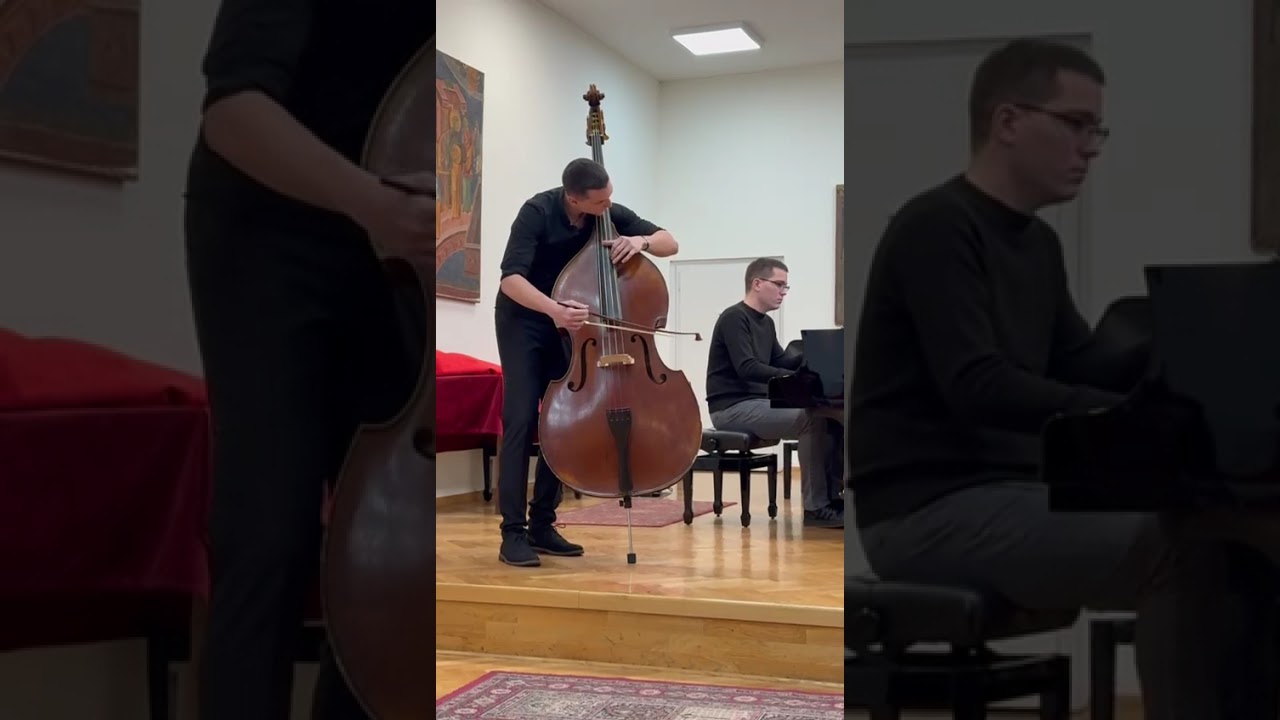 David Vasovic: Dittersdorf Concerto in E major for Double bass I Allegro Moderato